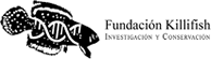 logo-killifish